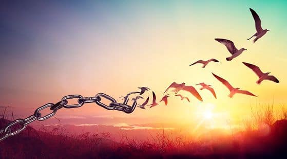 Beneficios del acompañamiento psicológico: Imagen de pájaros que rompen cadenas para elevar el vuelo, que simboliza independencia y libertad. Beneficios del acompañamiento psicológico: Imagen de pájaros que rompen cadenas para elevar el vuelo, que simboliza independencia y libertad.